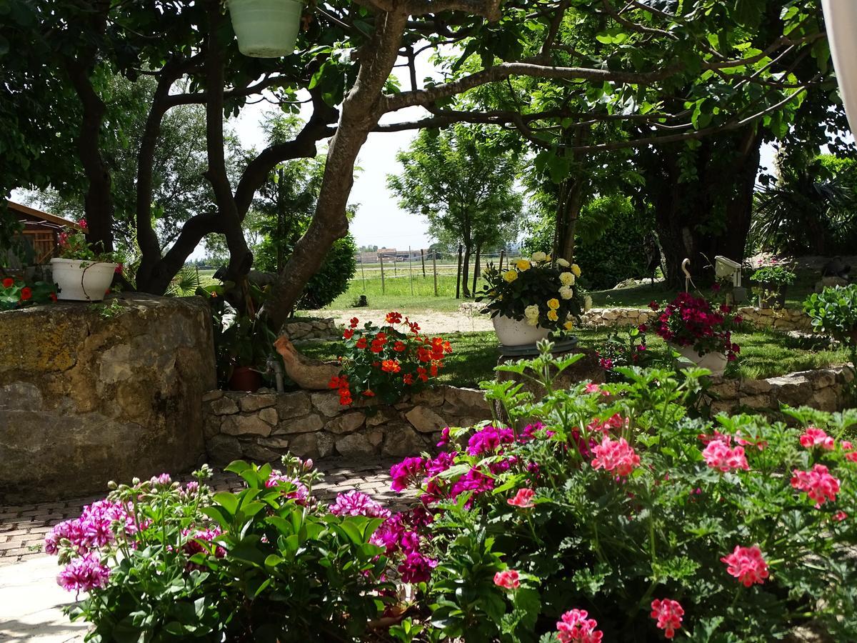 Bastide Des Princes B&B Caderousse Ngoại thất bức ảnh